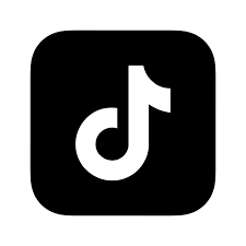 TikTok Ads